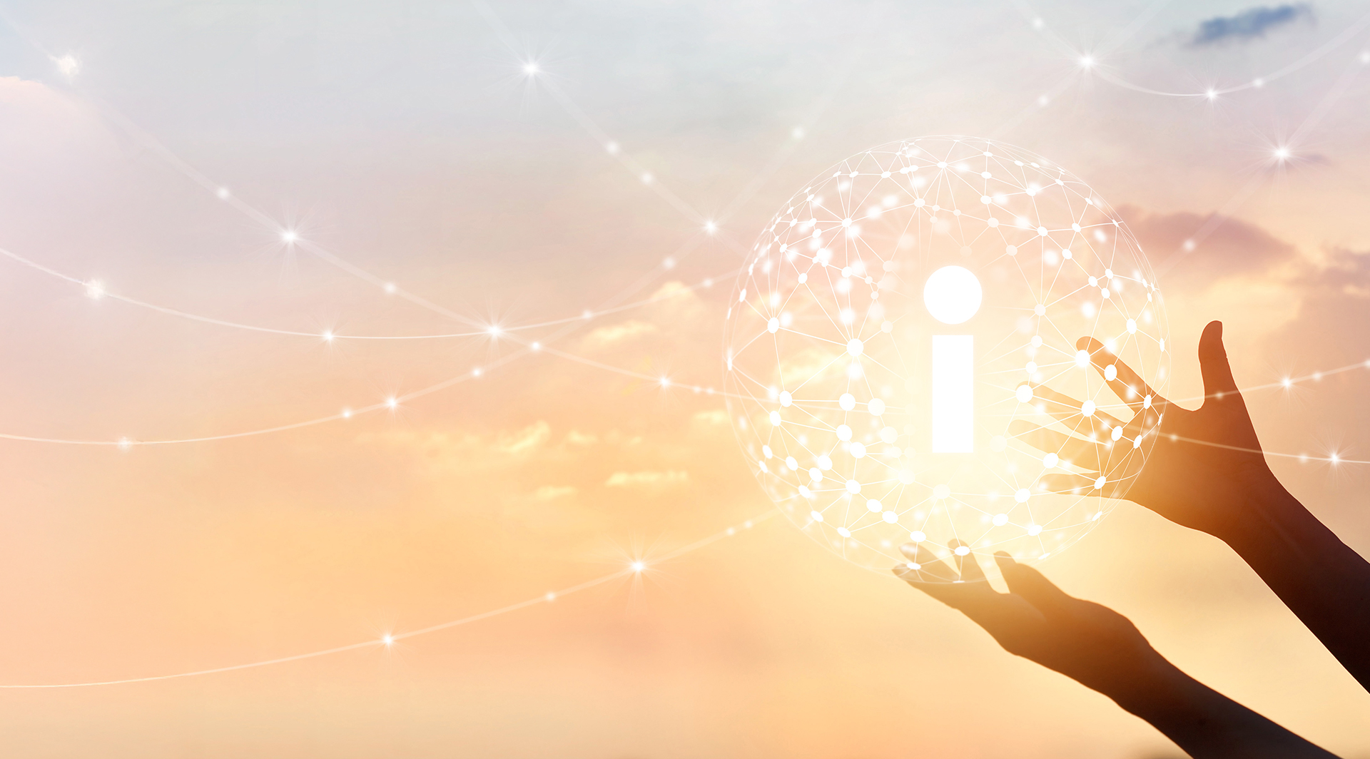 About i-SENS