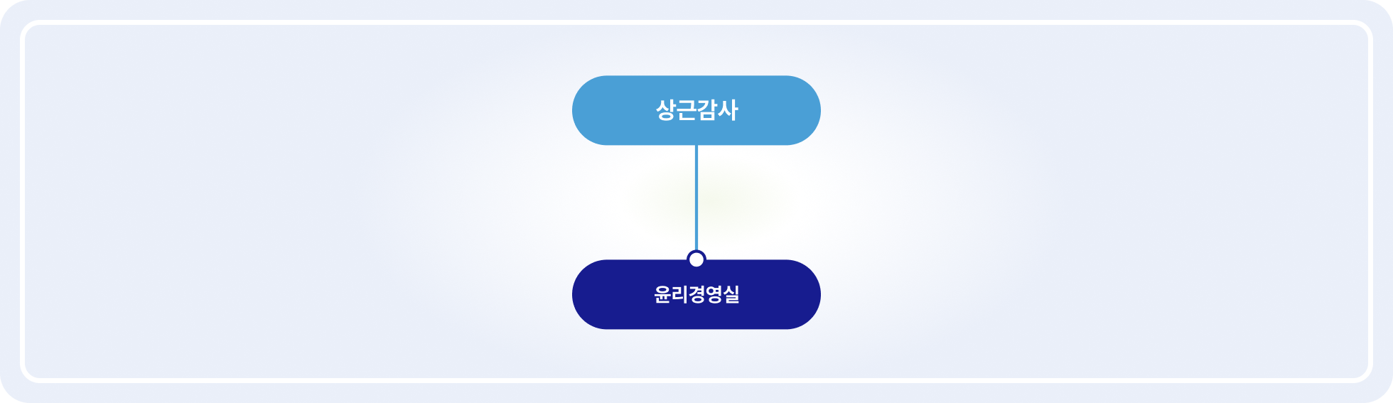 감사 지원조직